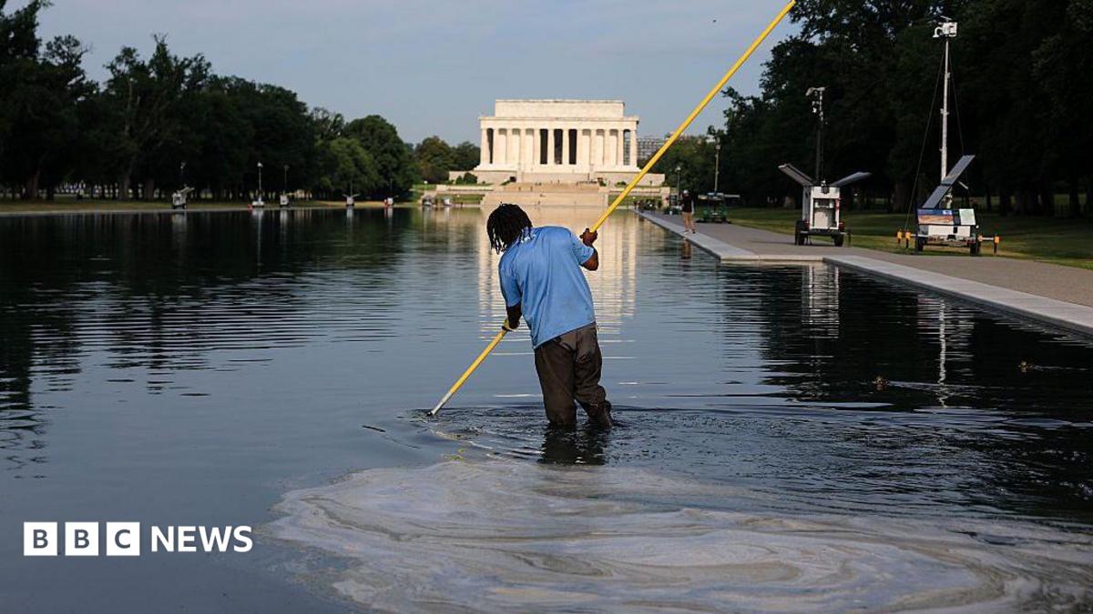 Former Olympian indicted for allegedly vandalising Washington Reflecting Pool