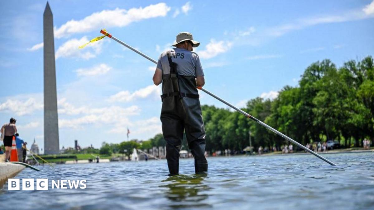 Trump says repairs to algae-plagued Reflecting Pool will begin immediately