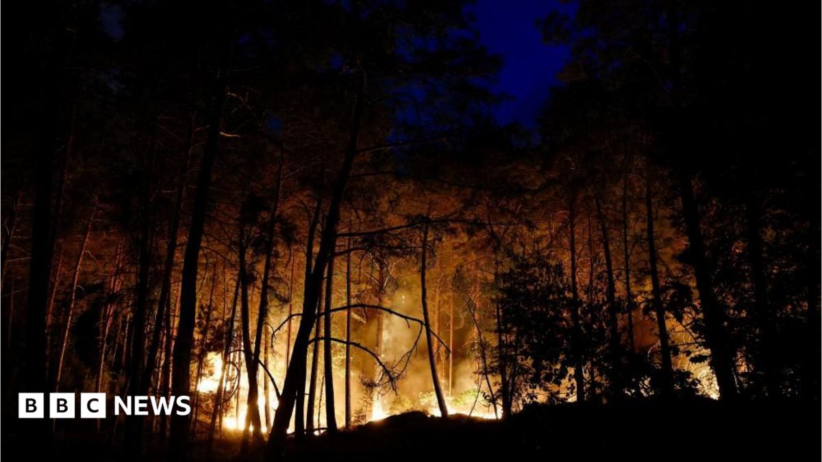 Planes sent to tackle wildfires of 'exceptional scale' near Paris