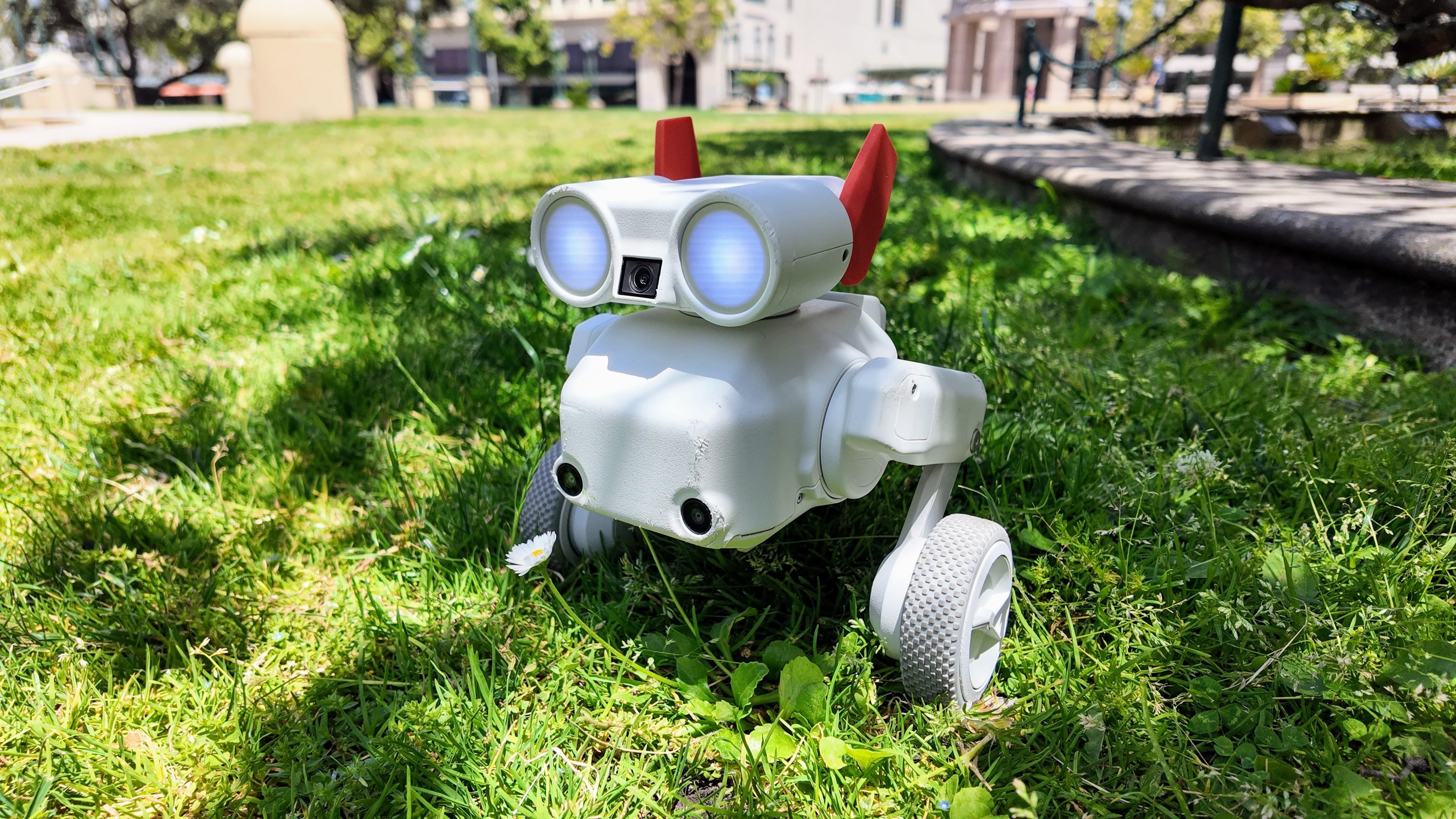 This jumping $800 robot camera dog filled me with joy