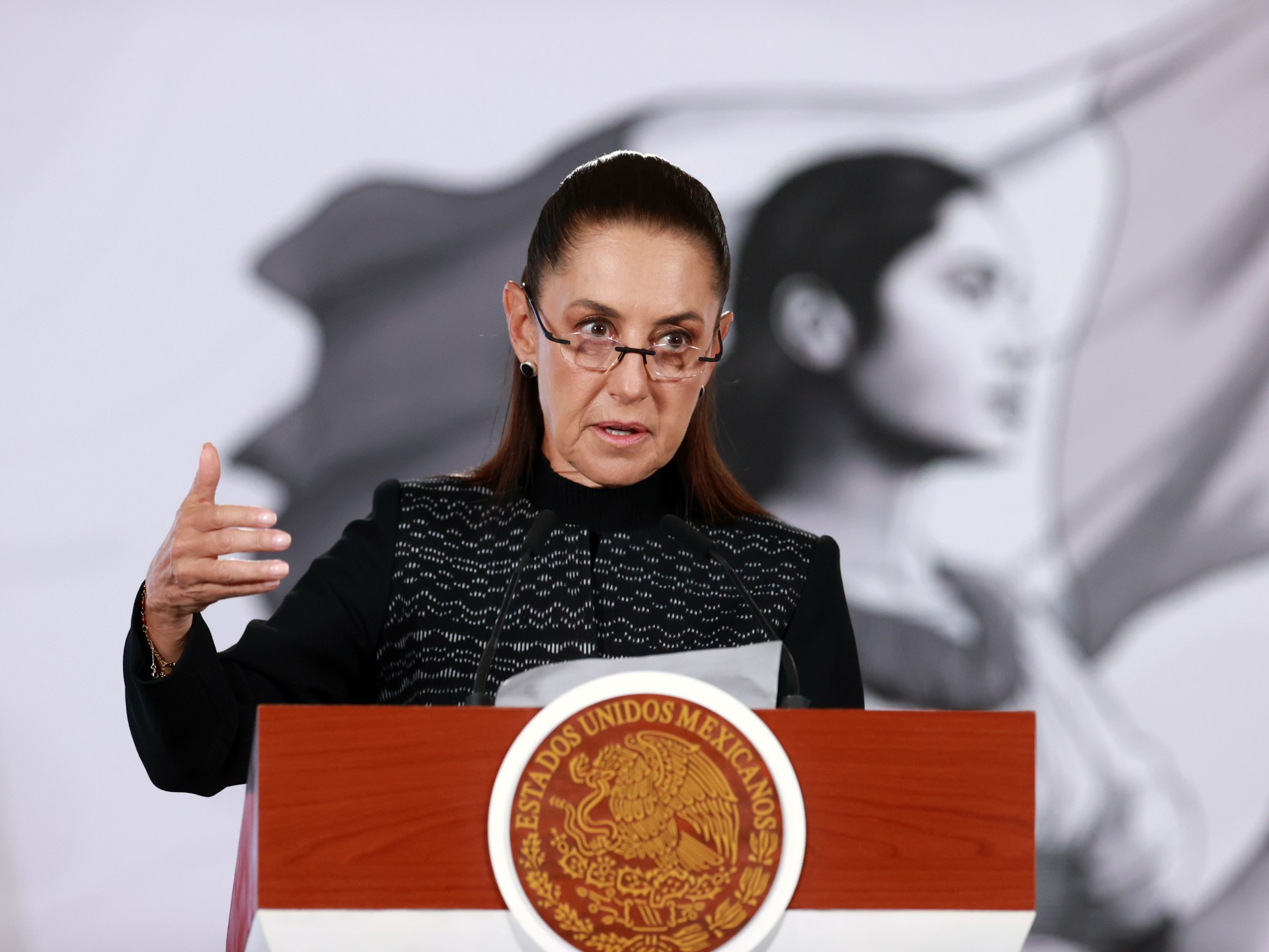 Mexico to seek US criminal complaints over ICE-related deaths of citizens