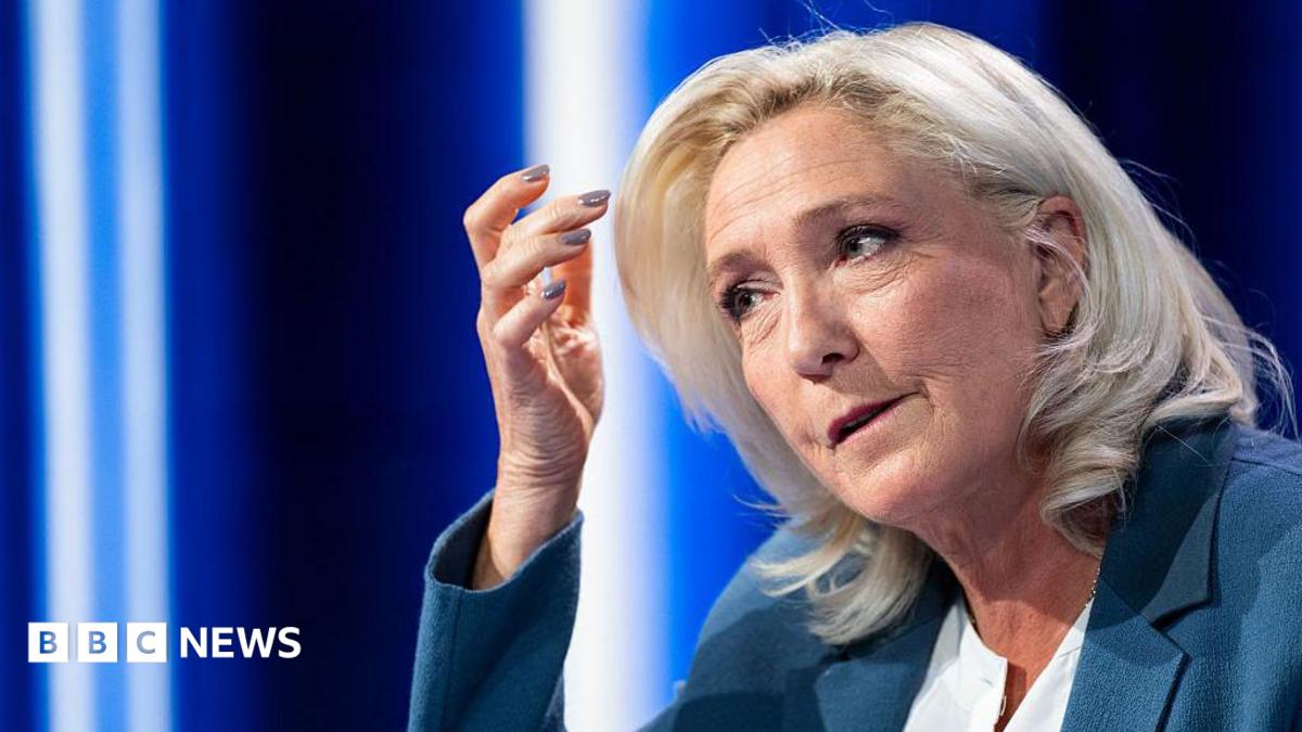 Marine Le Pen appeal verdict: Why this moment matters for France