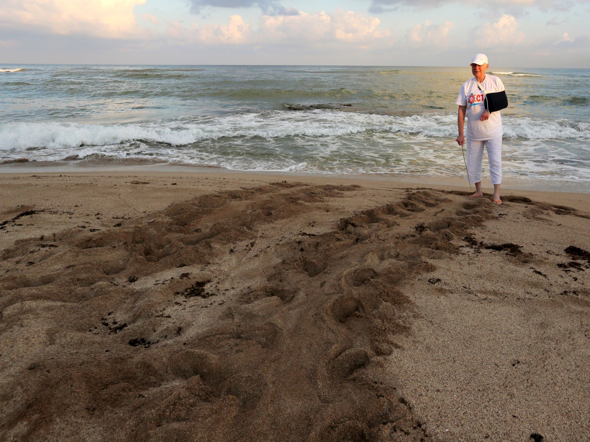 Mourners gather to remember Lebanese conservationist killed by Israel