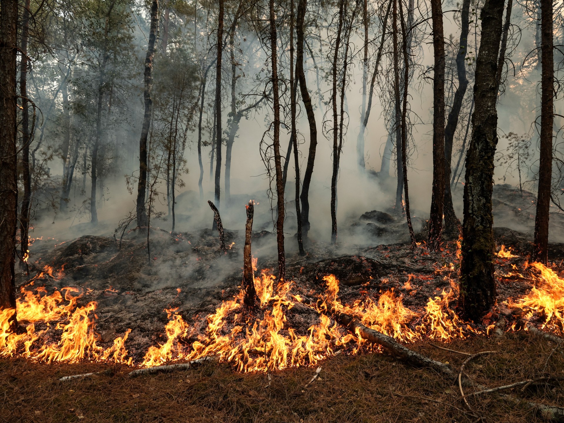 Photos: Wildfires ravage historic forest near Paris