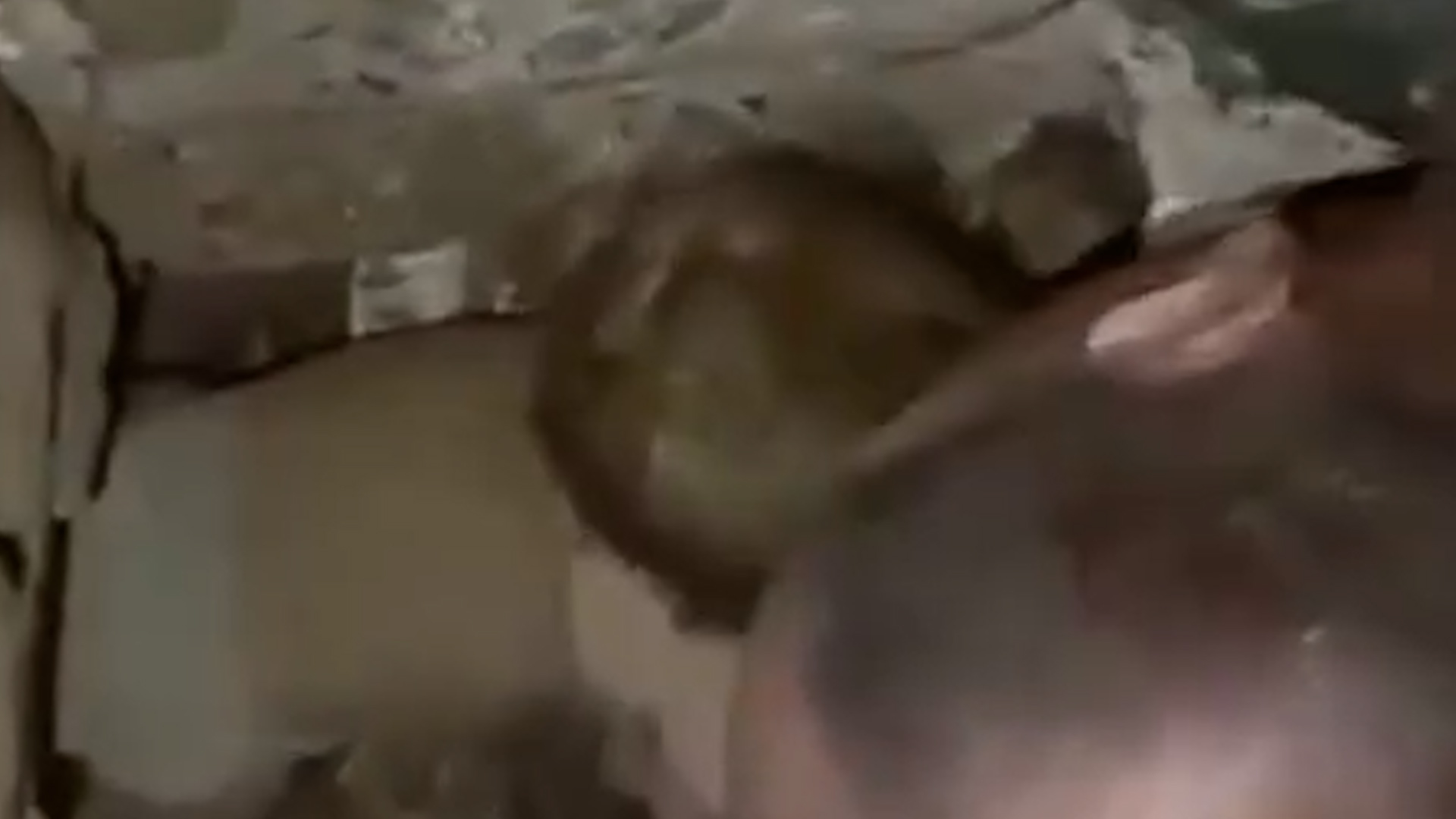Baby pulled alive from rubble after Venezuela earthquake