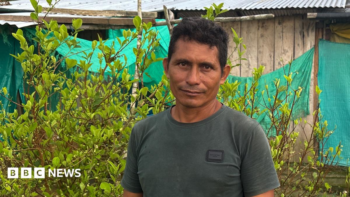 This farmer wanted to quit the cocaine industry - he couldn't