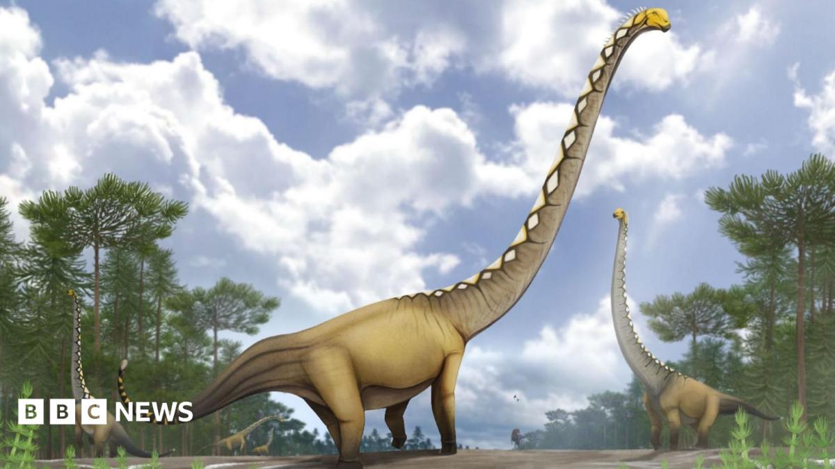 New dinosaur species with neck as long as cricket pitch discovered in Thailand