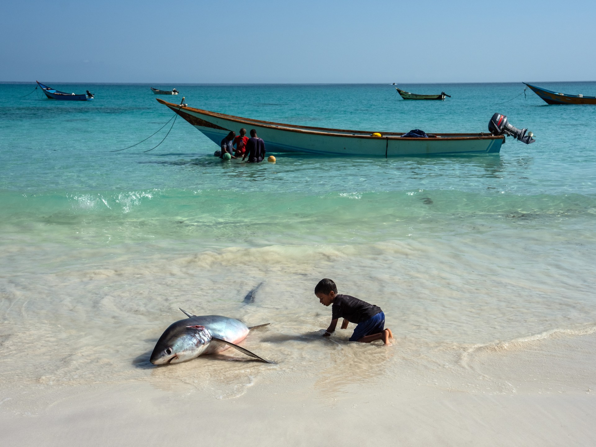 World’s oceans experience hottest June ever, scientists say more heat ahead