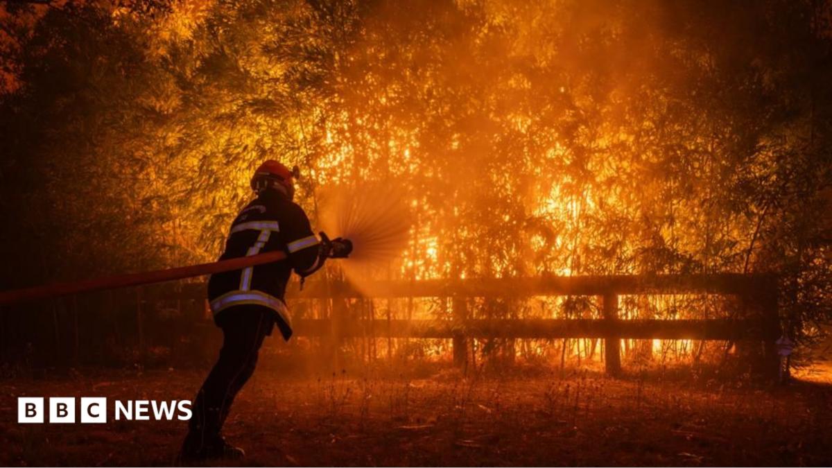 Macron calls crisis meeting as wildfires threaten Bordeaux and heatwave looms