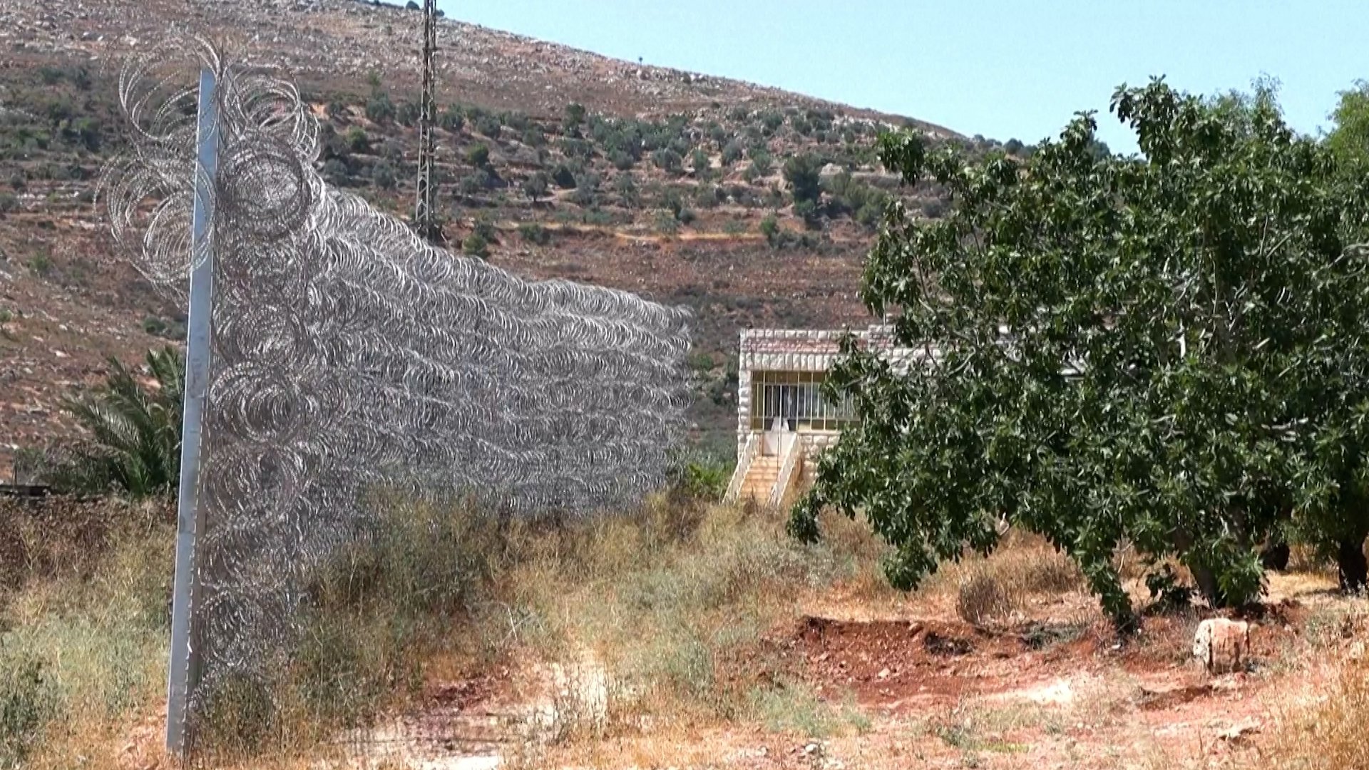 Israeli settlers attack Sinjil town in occupied West Bank