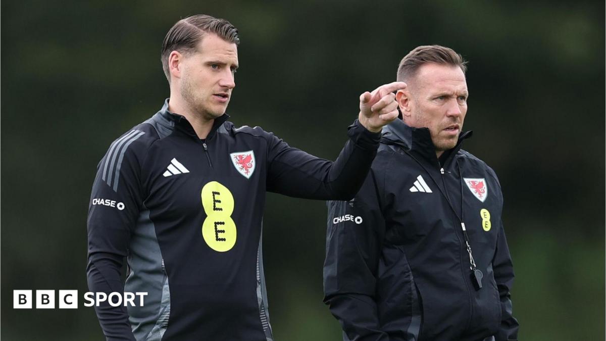 Cremers leaves Wales role as key Bellamy assistant