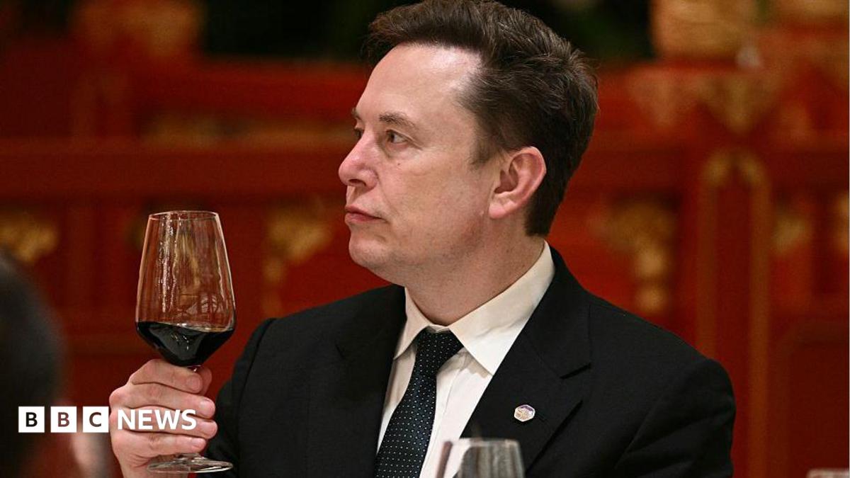 'Let's enjoy the ride' says Elon Musk, as AI fears mount