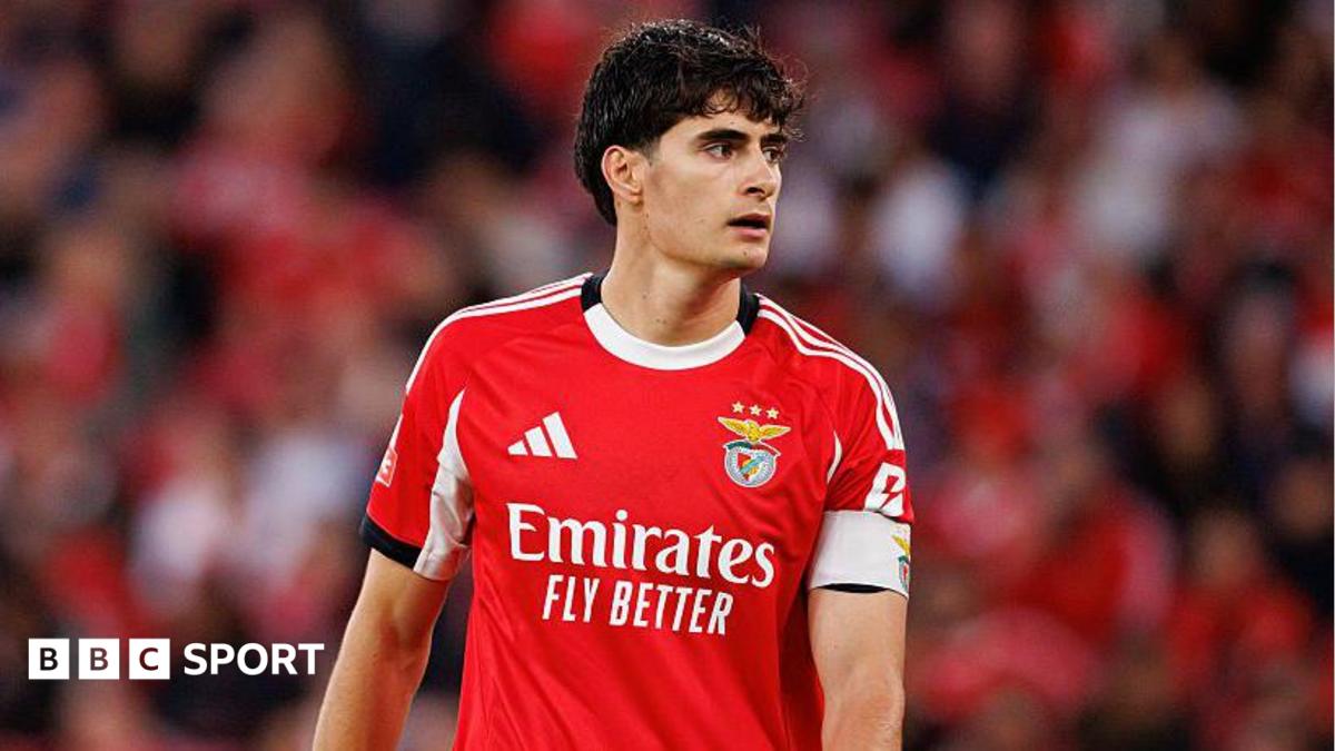 Bournemouth in talks for Benfica defender Silva