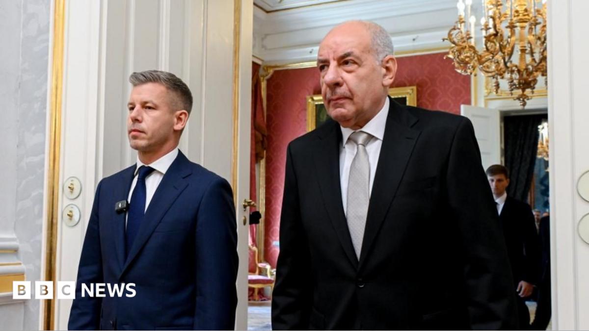 Hungary's president agrees to stand down after parliament backs removal