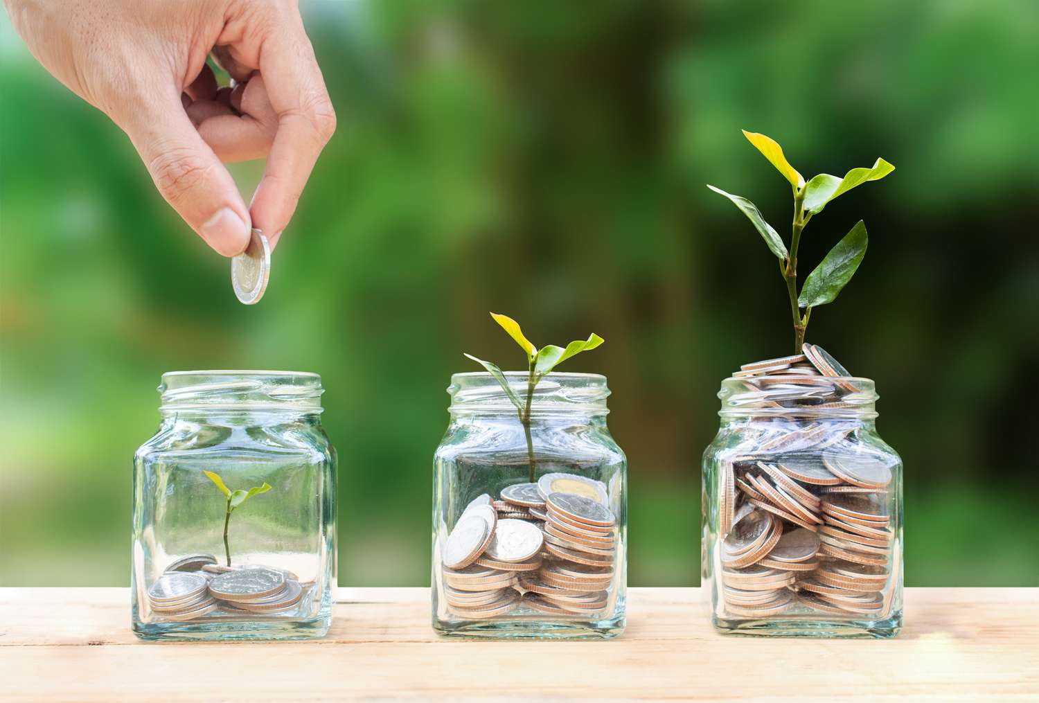 The Blueprint of Wealth: Why Starting Your Investment Journey Early is the Ultimate Life Hack